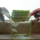 Illustration for article titled How to Grow Unlimited Celery Without Entering the Contra Code